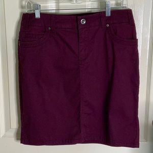 Absolutely GORGEOUS Skirt.   NWT